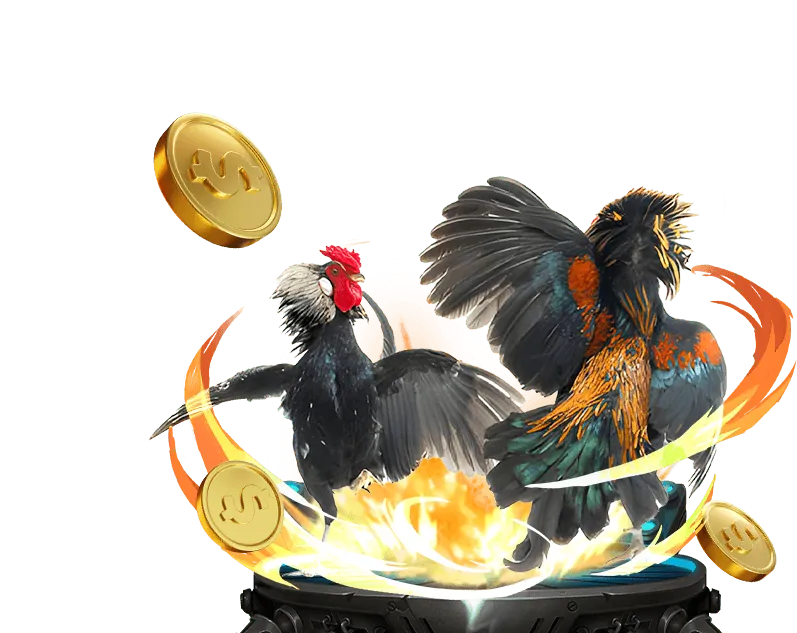 Casino trực tuyến với người chia bài thật